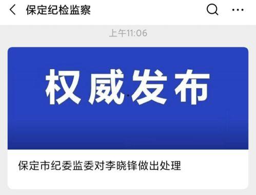保定最新爆料事件处理结果,官方公布处理结果，真相大白  第1张