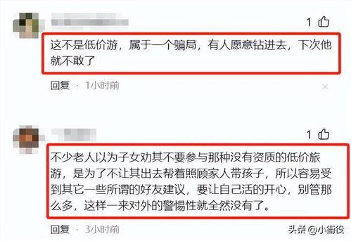 保定最新爆料事件处理结果,官方公布处理结果，真相大白  第3张