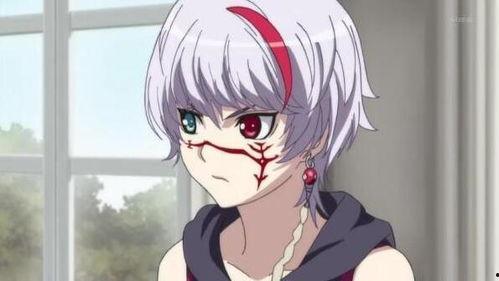 圣痕炼金士在线观看,炼金术士的奇幻冒险之旅 第1张 圣痕炼金士在线观看,炼金术士的奇幻冒险之旅 第1张