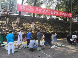 娱乐吃瓜酱贫困户,揭秘贫困户背后的真实故事 第1张 娱乐吃瓜酱贫困户,揭秘贫困户背后的真实故事 第1张