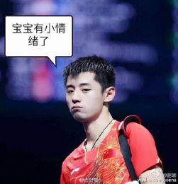 杨蓉爆料张继科视频,事件背后真相揭秘 第1张 杨蓉爆料张继科视频,事件背后真相揭秘 第1张